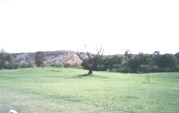 Golf Course