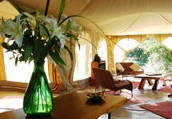 Rekero Tented Camp, Mara