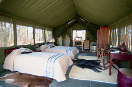 Amboseli Porini Camp Pictures, Kenya