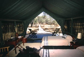 Amboseli Porini Camp Pictures, Kenya