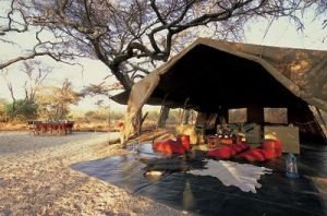 Amboseli Porini Camp Pictures, Kenya