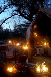 Amboseli Porini Camp Pictures, Kenya