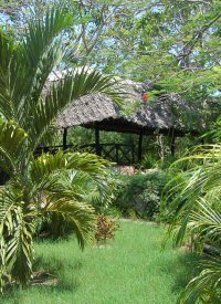 Asha Cottage, Diani, Mombasa 