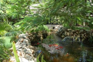 asha gardens