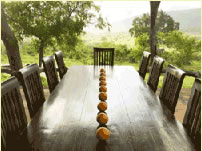 Beho Beho Camp, Selous - Pictures