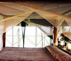 Campi ya Kanzi, Amboseli National Park, Kenya - Pictures