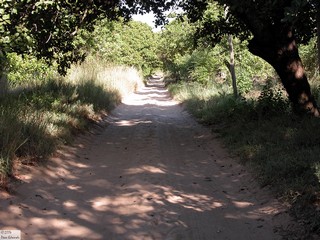 Capricho Cottage