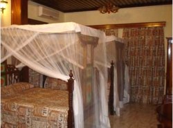Chavda Hotel, Stone Town, Zanzibar - Pictures