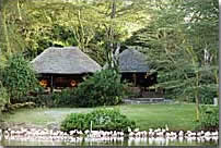 Crater Lake Camp, Naivasha, Kenya