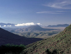 Desert Rose Lodge, Mount Njiru - Pictures
