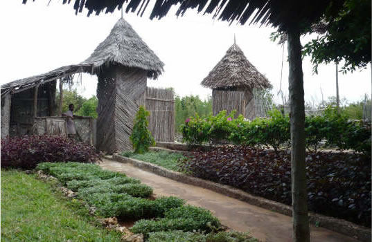 Dolphin Beach Resort, Zanzibar - Pictures