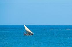 Dream of Zanzibar, Zanzibar