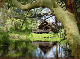 Finch Hattons Tented Lodge, Kenya - Pictures
