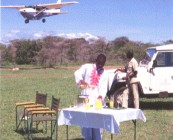Flying Safari - Serena Hotels