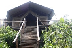 The Gorilla Resort, Uganda